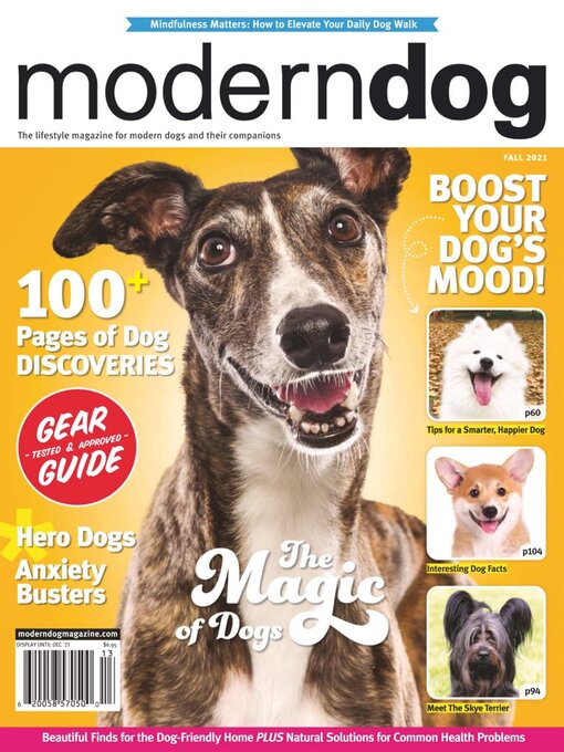 Title details for Modern Dog by Modern Dog Inc. - Available